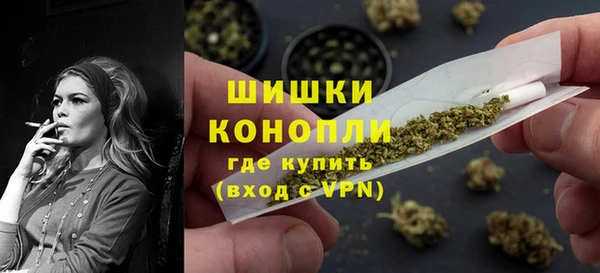 гидра Абаза