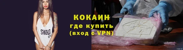 гидра Абаза