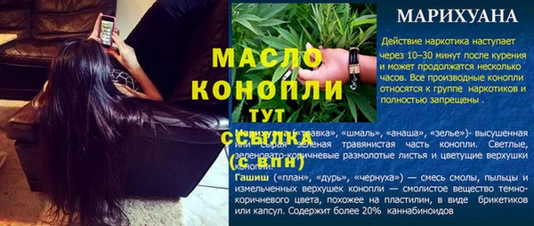 гидра Абаза