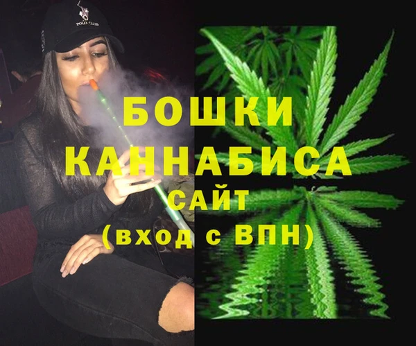 гидра Абаза