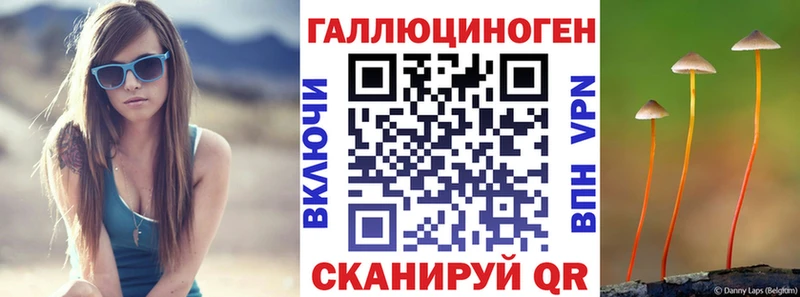купить наркоту  Тула  нарко площадка Telegram  Галлюциногенные грибы Psilocybine cubensis 