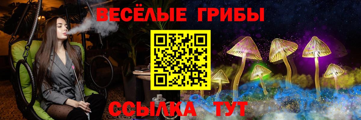 Псилоцибиновые грибы мицелий Тула