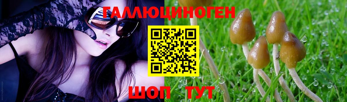 Тула  закладки  Вход с VPN  Псилоцибиновые грибы MAGIC MUSHROOMS 